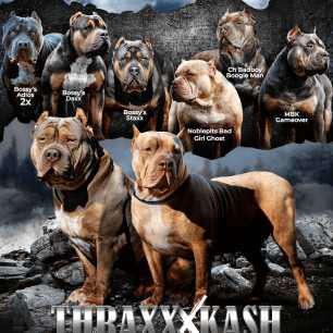 Breeding banner