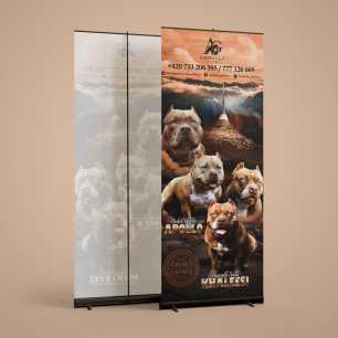 Roll up graphic design