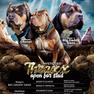 Open for stud banner