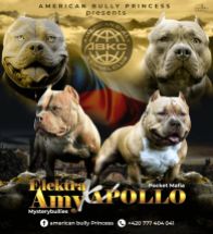 Ag Bully