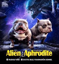 Alien Aphrodite