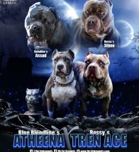 Atheena x Trace