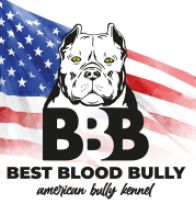 BBB logo top s pozadim
