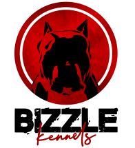 Bizzle logo red s pozadim