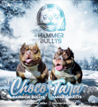 Choco x Tara