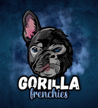 Gorilla Frenchie