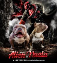 Alien X Nuala