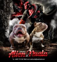 Alien x Nuala