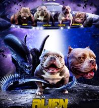 Alien