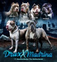 Drax X Marida