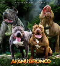 Afani X Bronco