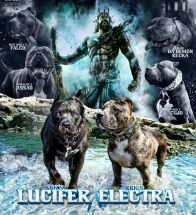 Lucifer X Electra