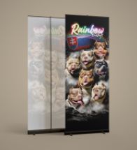 IG roll-up
