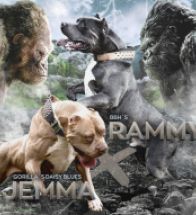 Jemma X Rammy