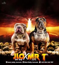Jlo x Mr T