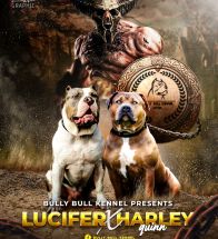 Lucifer and Harley