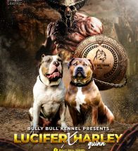 Lucifer X Harley