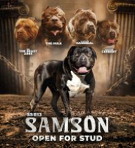 Samson