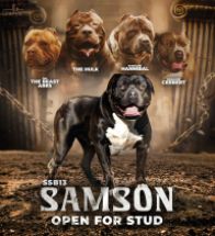 Samson