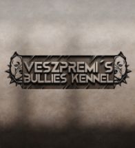 VBK logo