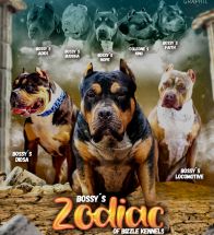 Zodiac