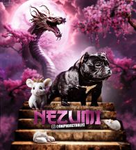 Nezumi