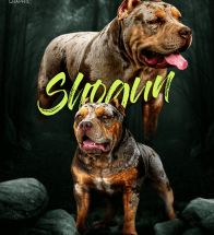 Shogun