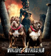 Viking X Atheena